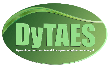 DyTAES